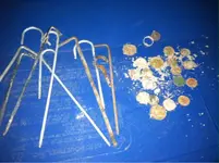 image-2689008306.webp