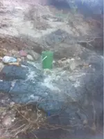 image-3143373002.webp
