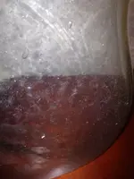 image-2878534076.webp