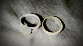 two rings returned.webp