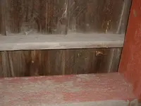 DSCF0002.webp