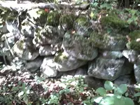 0916131057-00.webp 0916131057-00.webp
