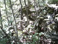 0916131057-01.webp