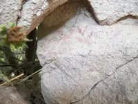 100_0176.webp 100_0176.webp