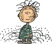 pigpen_thumb.webp