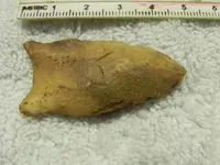 Paleo 1.webp