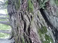 ForumRunner_20130916_160323.webp