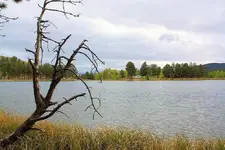 9-28c.webp