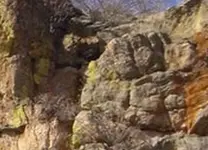 bearcaveincrop.webp