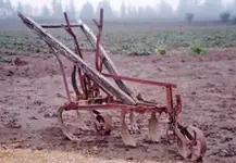 304_HorseDrawnCultivator.webp