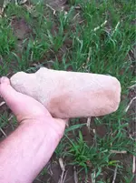 image-188046700.webp