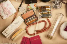 article-2338714-1A3BDB87000005DC-736_964x640.webp