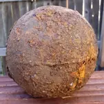 cannon ball.webp