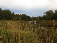 image-1531685918.webp