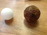 image-3341582142.webp