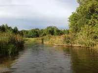 image-375583219.webp