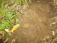 sept hunt 029.webp