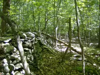 sept hunt 028.webp