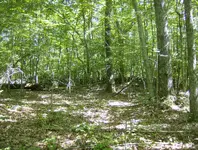 sept hunt 026.webp