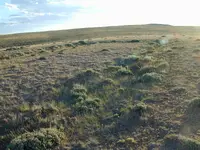 DSCN3034.webp