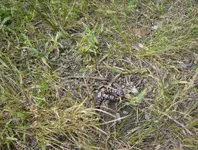 sept hunt 024.webp