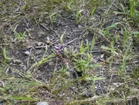 sept hunt 020.webp