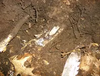 sept hunt 017.webp