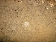 sept hunt 014.webp