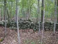 sept hunt 009.webp