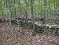 sept hunt 008.webp