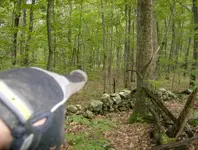 sept hunt 007.webp