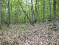 sept hunt 005.webp