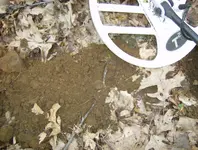 sept hunt 003.webp