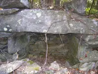 sept hunt 2 006.webp