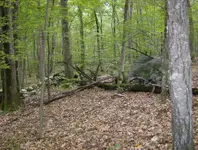 sept hunt 2 005.webp