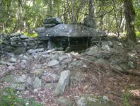 sept hunt 2 002.webp