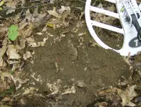 sept hunt 001.webp