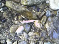 091300_1620[00].webp