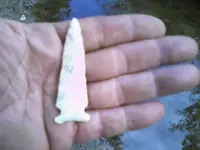 091300_1626[00].webp