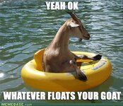 floating goat.jpg
