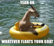 floating goat.webp