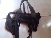 horsegear_rosette_US_harness-and-blinders_ironback-US-rosettes_Indian-Wars_TN_photobyPatriot474.webp