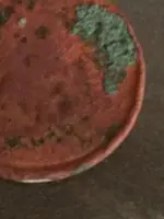 1937 Wheatie.webp