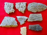 DSCN7051.webp