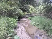 091300_1623[00].webp