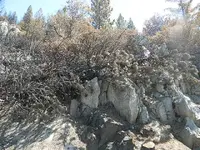 Aspen fire 001.webp