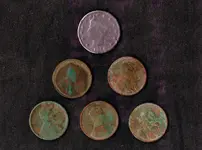 oct8finds.webp oct8finds.webp