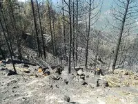 Aspen fire 002.webp