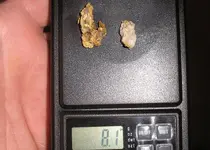 gold nuggets 010.webp