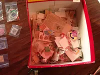 image.webp